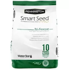 Pennington 10