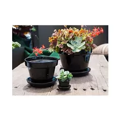 Verandah 8x6.5 Standard with Saucer Black
