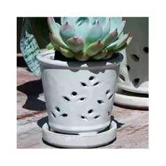 Verandah 7.5" Wsp Waikiki Orchid Pot