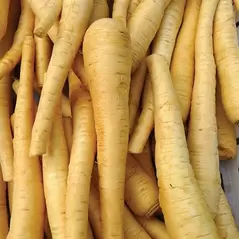 Parsnips, Hollow Crown - 1lb