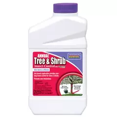 Bonide Qt Concentrate Tree & Shrub Drench