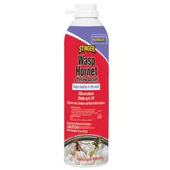 Bonide 15oz Wasp & Hornet Water Base Foam