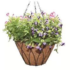 Austram 12" Lotus Planter Black with Chain