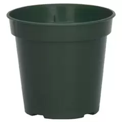 DLN 03.50 RND STD T/W TL 300GN 1225/CS 36CS/PL