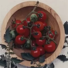 Tomato, Tommy Toe - 1,000 Seed Count