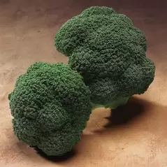 Broccoli, Gypsy 10,000 Seed Count
