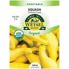 Organic Summer Crook Squash - 2 Gram