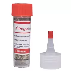 Phytoseiulus persimilis 2,"000 per "hot spot" vial. ( Spider Mite )
