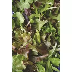 Mixed Greens - 1/2oz