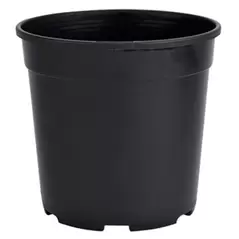 DLN 01.00QT PEREN POT T/W TL BLK 475/CS 33CS/PL