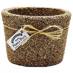 Exotic Pebbles Pots Brown 6" Cache