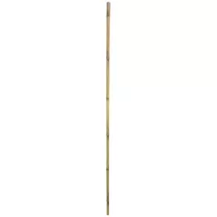 Gardener's Blue Ribbon Bulk 6'x1" Super Bamboo