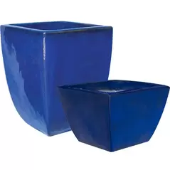 MCarr 32pc Camillia Planter Pallet Admiral Blue