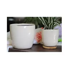 Jewel 4.5" Freeform Pot Ivc
