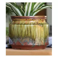 Jewel 6.5" Self Watering Pot Rnf