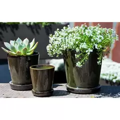 Verandah 4.5" Lilac Sz B Tgn