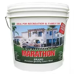 Marathon 1 Grass Seed 5