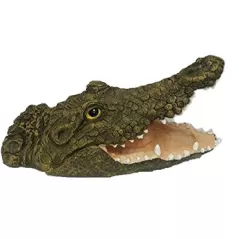 Dalen 16.8" Floating Alligator Open Mouth Hand Painted