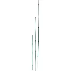 D&D Garden 6ct 5' Packaged Bamboo Stakes