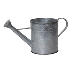 Pond Boss Watering Can Spitter And Planter Silver