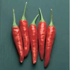 Peppers, Super Chili Hybrid 1000 Seed Count