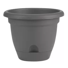 Bloem 12" Lucca Planter Charcoal