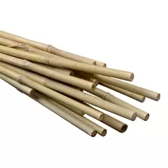 Natural Bamboo Stakes 4ft 8-10mm (500pcs/Bale)