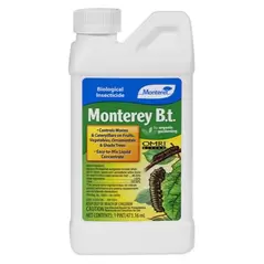 Monterey B.t. Pint (12/Cs)