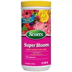 Scotts 2