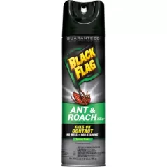 Black Flag 17.5oz Ant & Roach Spring Fresh Aerosol