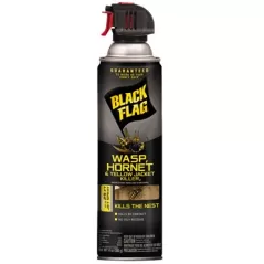 Black Flag 14oz Wasp Hornet & Yellow Jacket Killer Aerosol