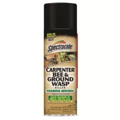 Spectracide 16oz Carpenter Bee & Ground Wasp Foam