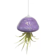 APM Air Plant Jellyfish Purple/Gold