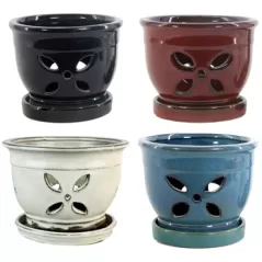MCarr 12PC 5.5" 4 Petal Orchid Pot Mix Asst