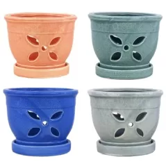 MCarr 12PC 5.5" 4 Petal Orchid Pot Mix Asst
