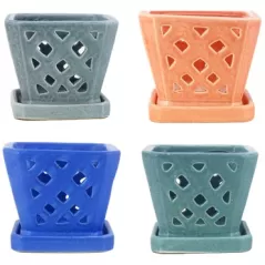 MCarr 6PC 7" Sq Diamond Orchid Pot Mixed Asst
