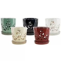 MCarr 12PC 5.5" Round Leaf Orchid Pot Mixed Asst