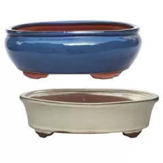 MCarr 2PC 14.6" Bonsai Planter Set Mixed Colors