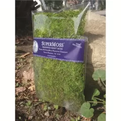 SuperMoss 16oz Forest Moss Preserved Fresh Green