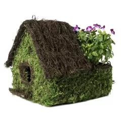 SuperMoss 10.5" Plantable Maison Birdhouse Fresh Green