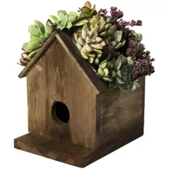 SuperMoss Large Birdhouse Plantable Jade