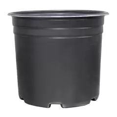 Thermoformed Nursery Pot 5 Gallon