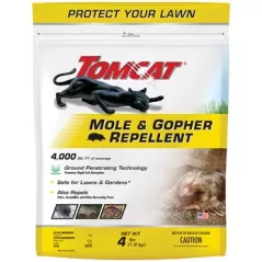 Tomcat 4
