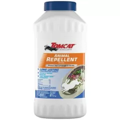 Tomcat 12