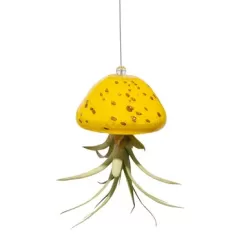 APM Air Plant Jellyfish Yellow/Gold