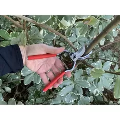 Corona 1" ClassicCUT Hand Pruner