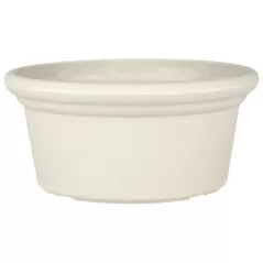 SSI 9.6" Courtyard Planter Bone