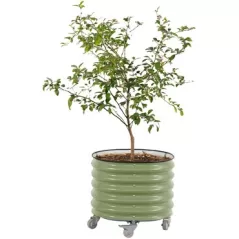 Vego Garden Self-Watering Rolling Planter Olive Green