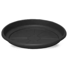 Crescent 22" Emma Saucer Black