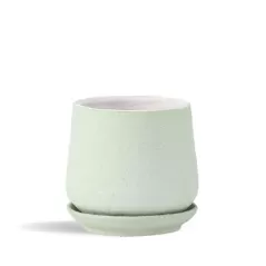 PHG 8"x7.5" Hand Rolled Pot With Attached Saucer Sand Sage Green